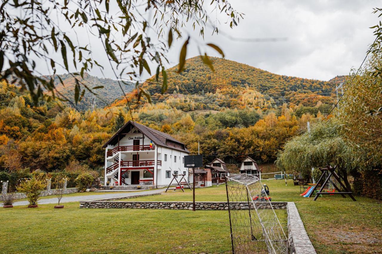 Casa Ardeleana Hotel Lotrioara Екстериор снимка
